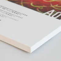 Print UV pe PVC si Forex® (foto: ArtPoligraf)
