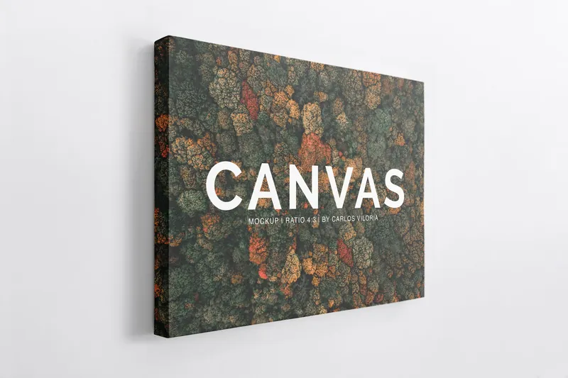 Tablouri pe canvas