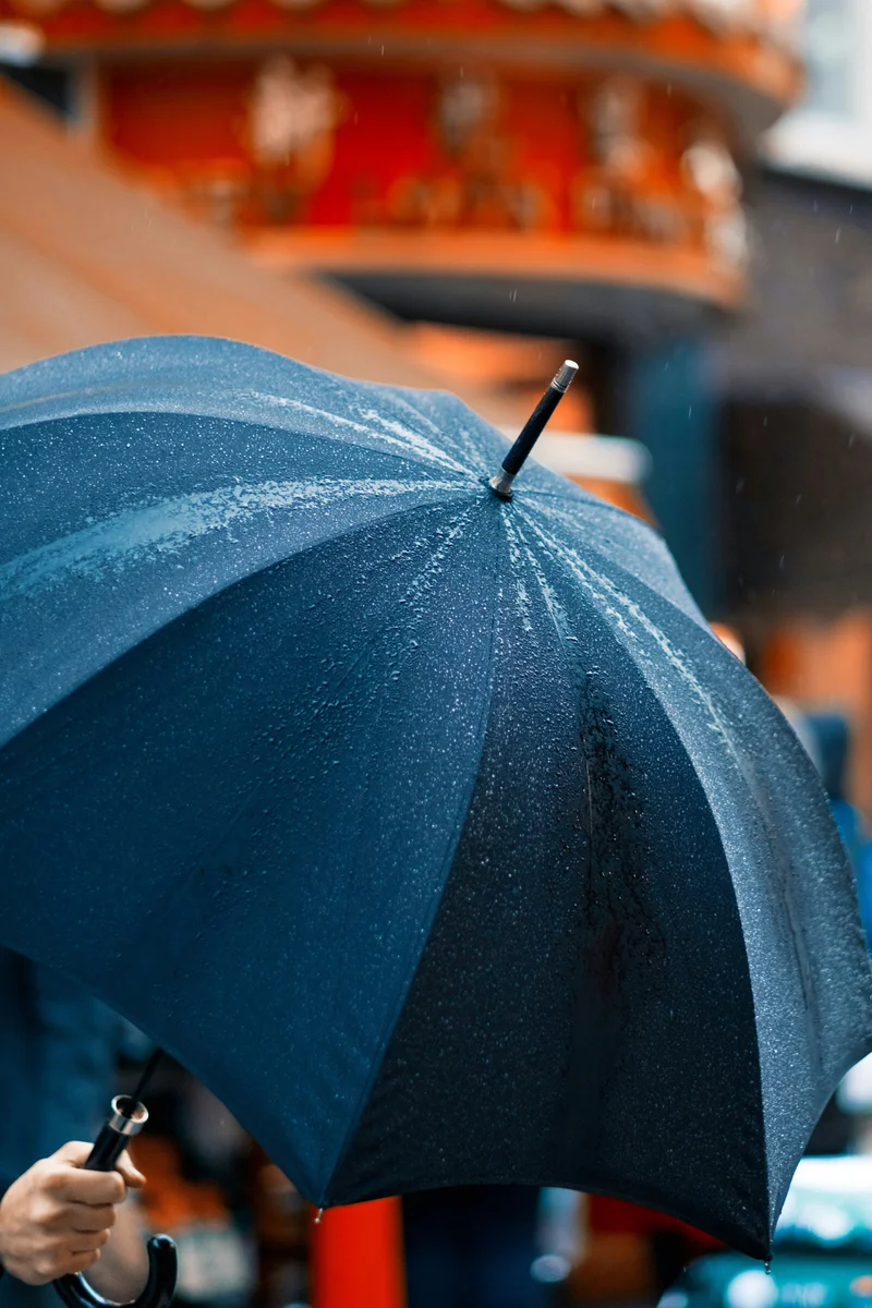 Serigrafie pe umbrele — Blue (foto: unsplash / Craig  Whitehead, Unsplash License (free to use))