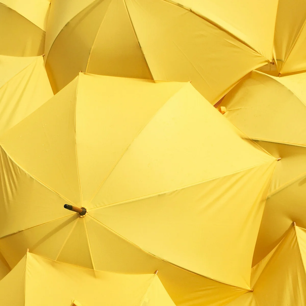 Serigrafie pe umbrele — Yellow (foto: unsplash / Catrin Johnson, Unsplash License (free to use))