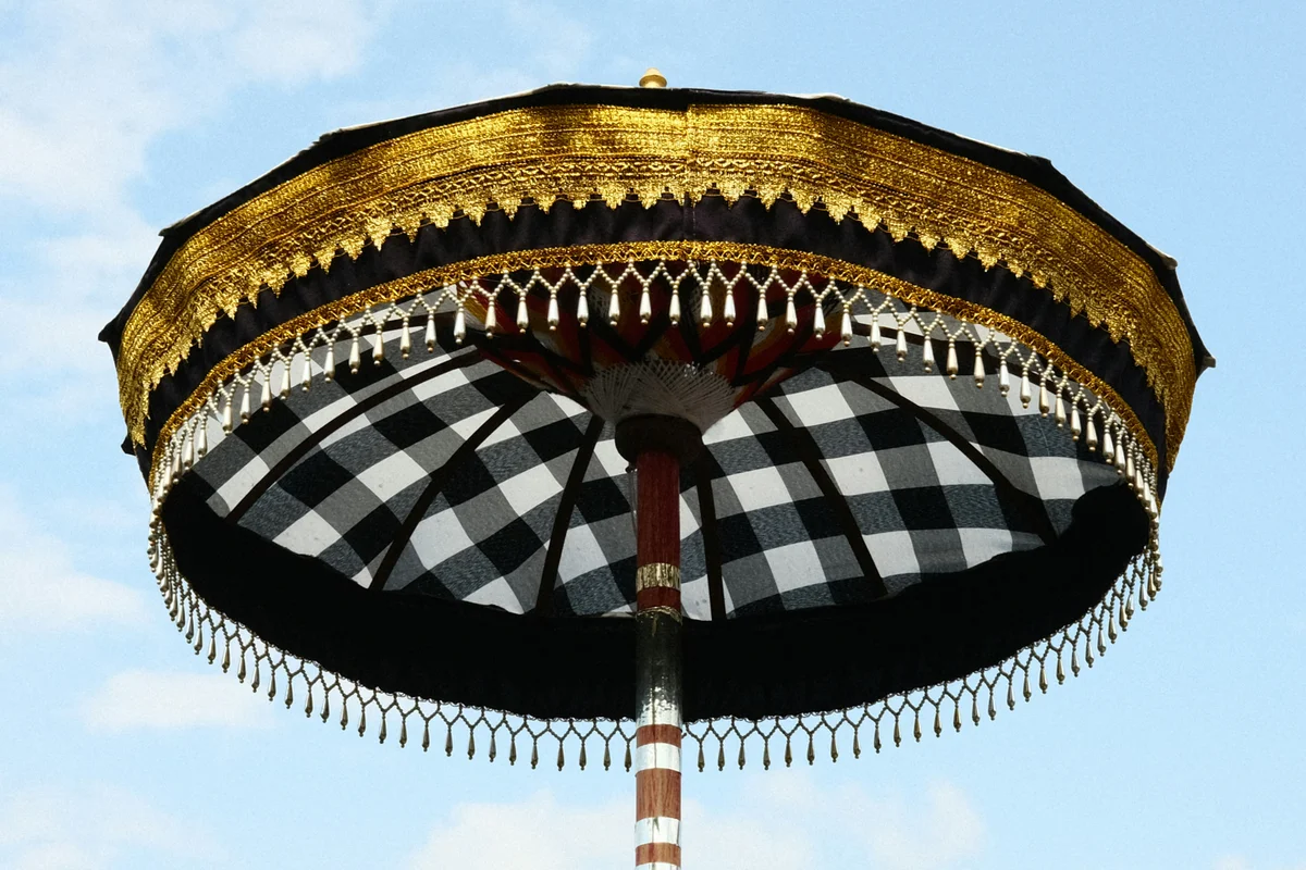 Transfer termic pe umbrele — Black (foto: unsplash / Kseniia Zapiatkina, Unsplash License (free to use))