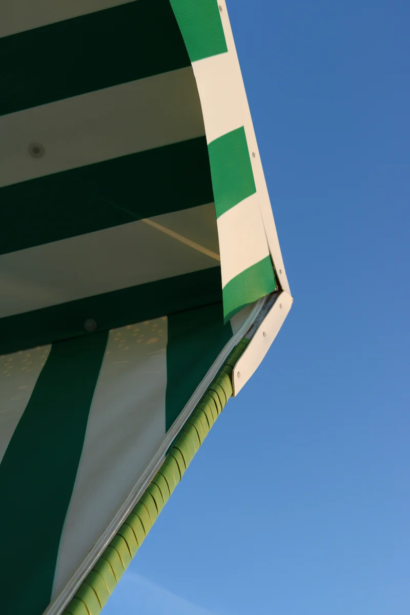 Transfer termic pe umbrele — Green (foto: unsplash / Oliver B, Unsplash License (free to use))