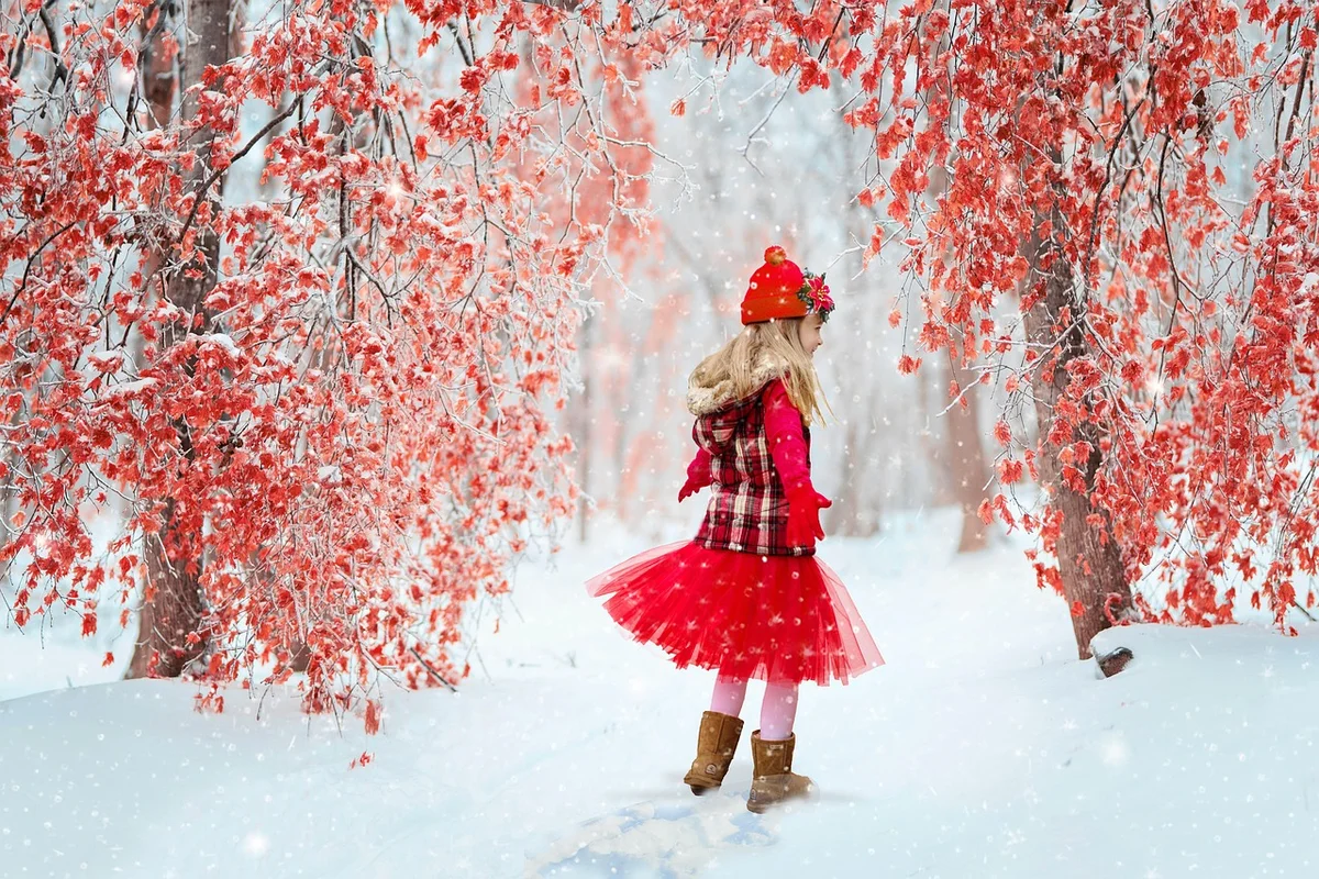 Căciulă Beanie BULNES — 6997-60 rosu (foto: pixabay / JillWellington, Pixabay Content License (free to use))