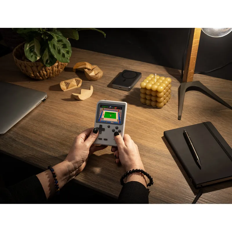 Powerbank Warshel 10