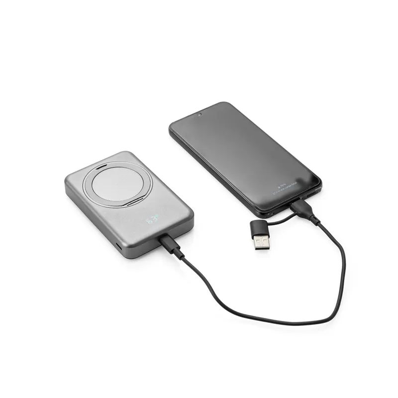 Powerbank Warshel 10