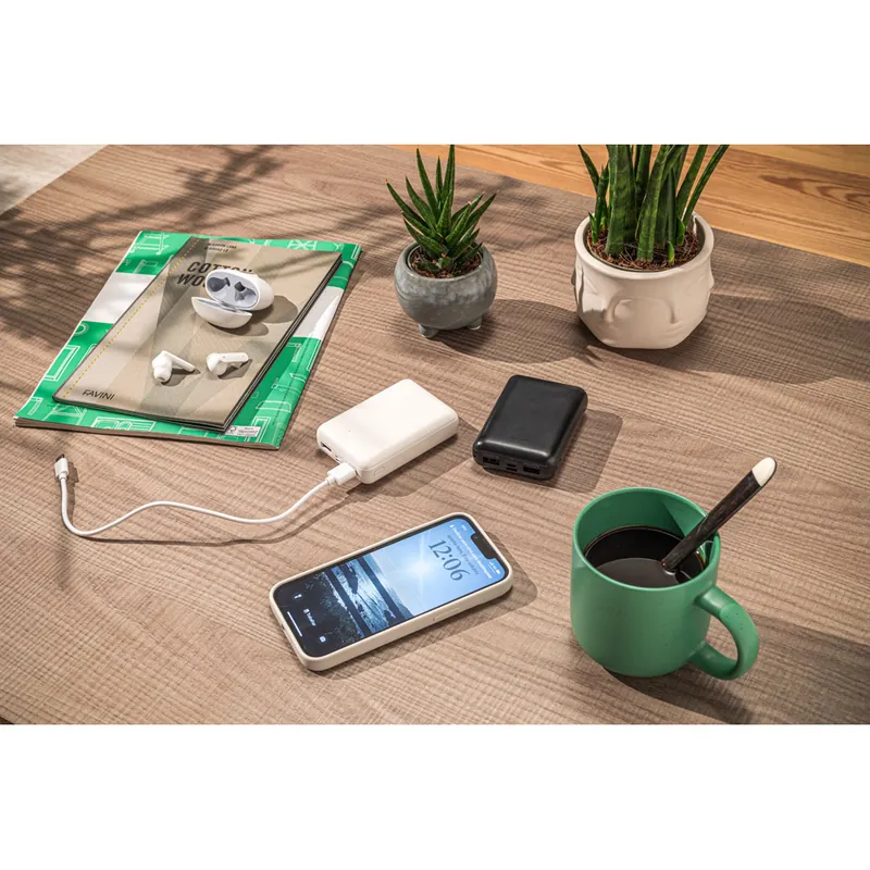 Powerbank Leakey 10