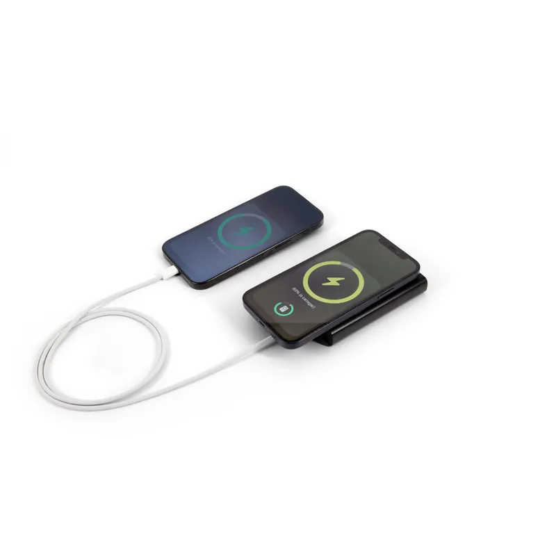 Powerbank Wright 10